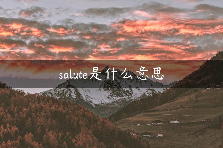 salute是什么意思