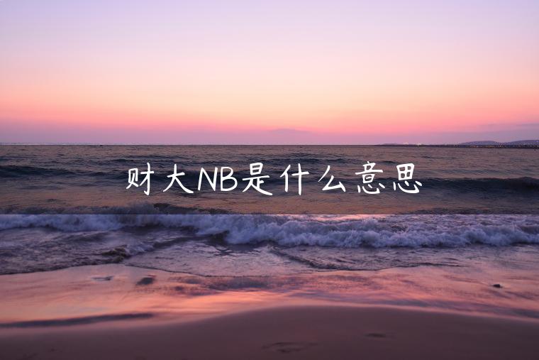 财大NB是什么意思