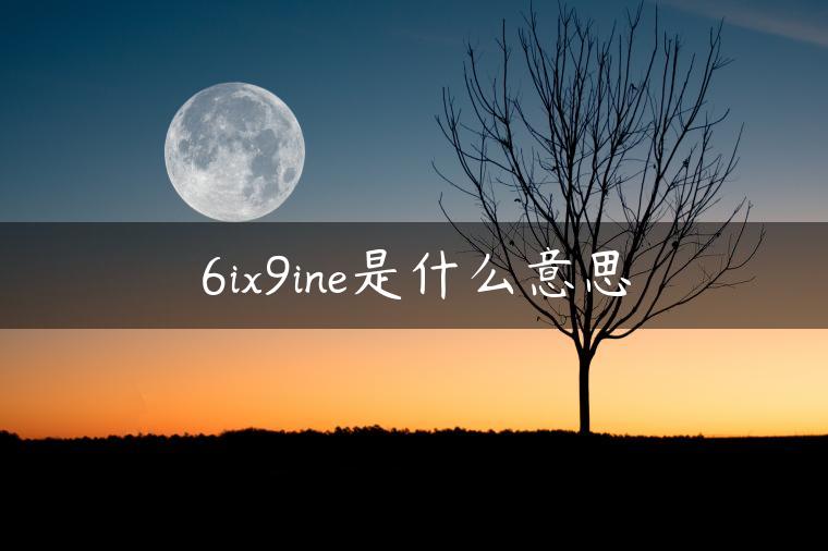 6ix9ine是什么意思