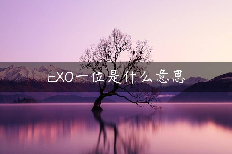 EXO一位是什么意思