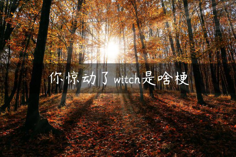 你惊动了witch是啥梗