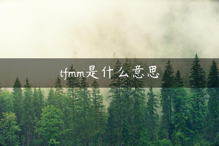 tfmm是什么意思