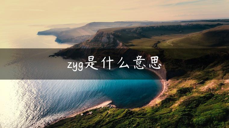 zyg是什么意思