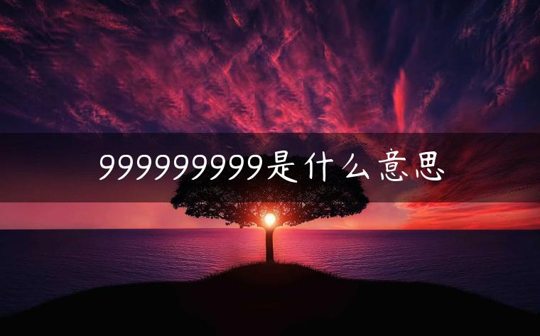 999999999是什么意思