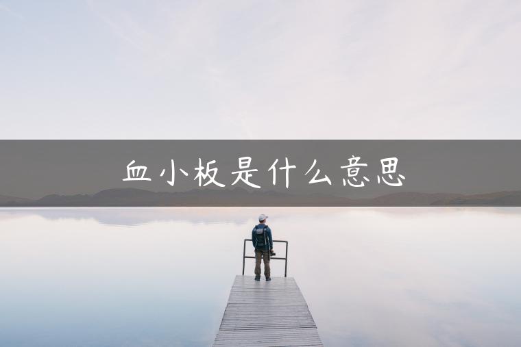 血小板是什么意思