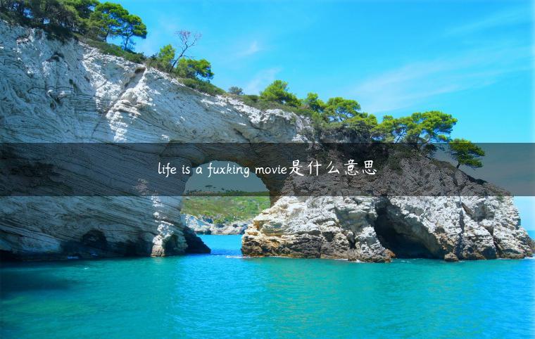 life is a fuxking movie是什么意思