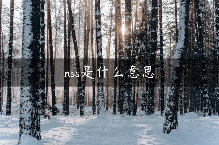 nss是什么意思