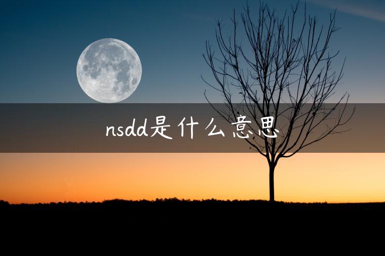 nsdd是什么意思