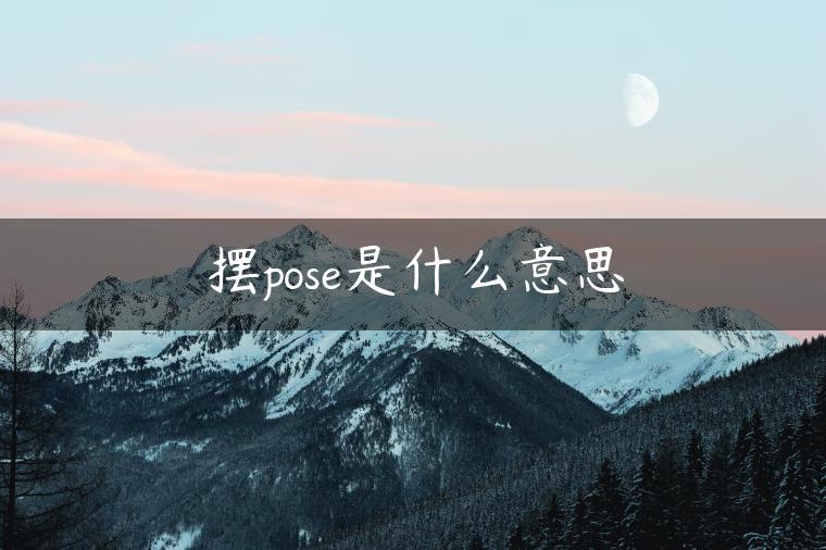 摆pose是什么意思