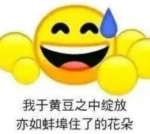 我于黄豆之中绽放什么梗 亦如蚌埠住的花朵