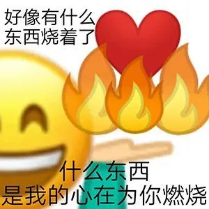 好像有什么东西烧着了什么梗