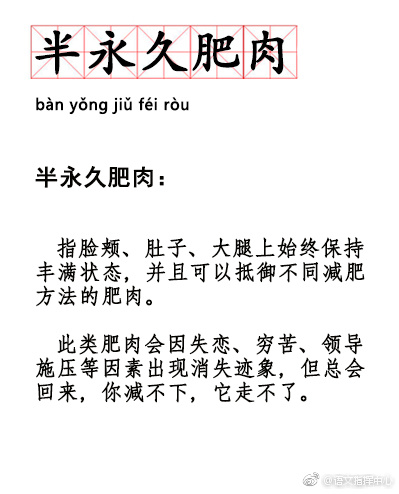 半永久肥肉