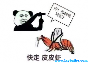 皮皮虾，我们走